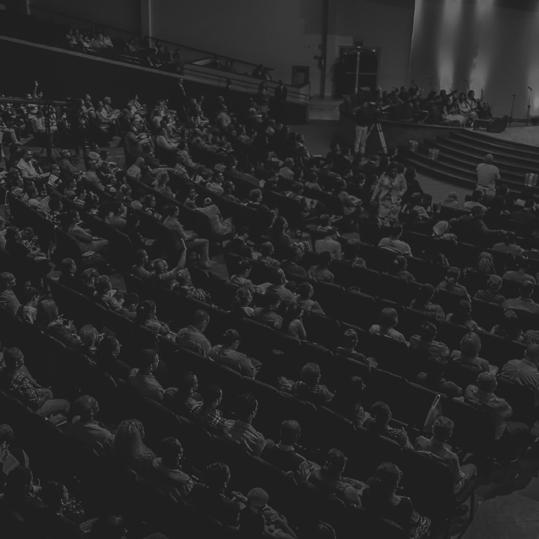 Cultura Transbordada Preview