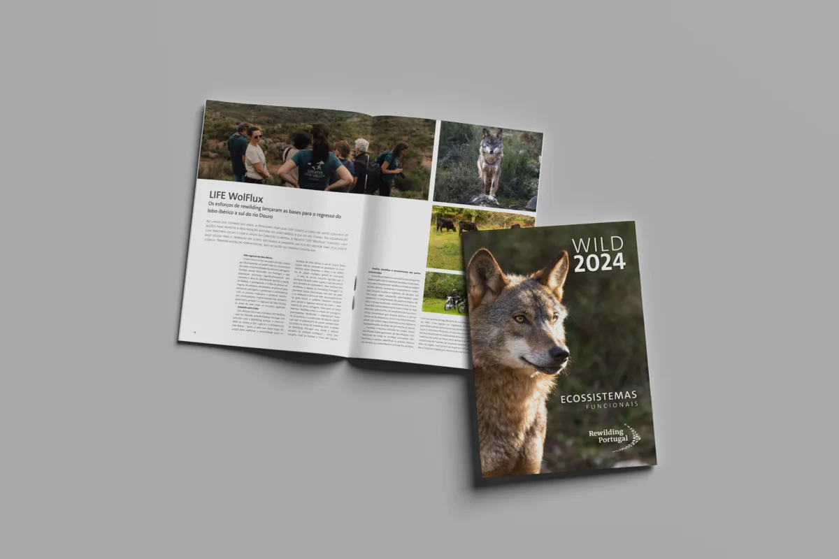 Revista WildCapa